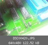 DSC00420.JPG