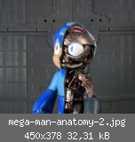 mega-man-anatomy-2.jpg