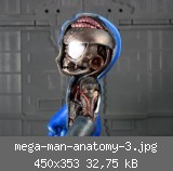 mega-man-anatomy-3.jpg