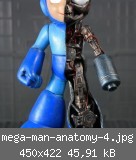 mega-man-anatomy-4.jpg