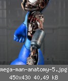 mega-man-anatomy-5.jpg
