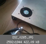DSC_0265.JPG